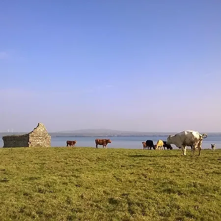 Wild Atlantic * Carrigaholt